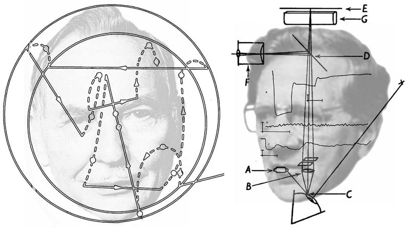 Left, *Unsteady gaze* by Nicholas Wade. Floyd Ratliff within a pattern of involuntary eye movements during fixation; the high-frequency tremor (not shown) is superimposed on the slow drifts (dashed lines), with intermittent microsaccades. Right, *Mercurial movements* by Nicholas Wade. Horace Barlow with the optical system he employed to record reflections from a droplet of mercury on the cornea and the records of eye movements during fixation showing: a, “continuous drifts”; b, “rapid vibration”; and c, “slow irregular wobble”.